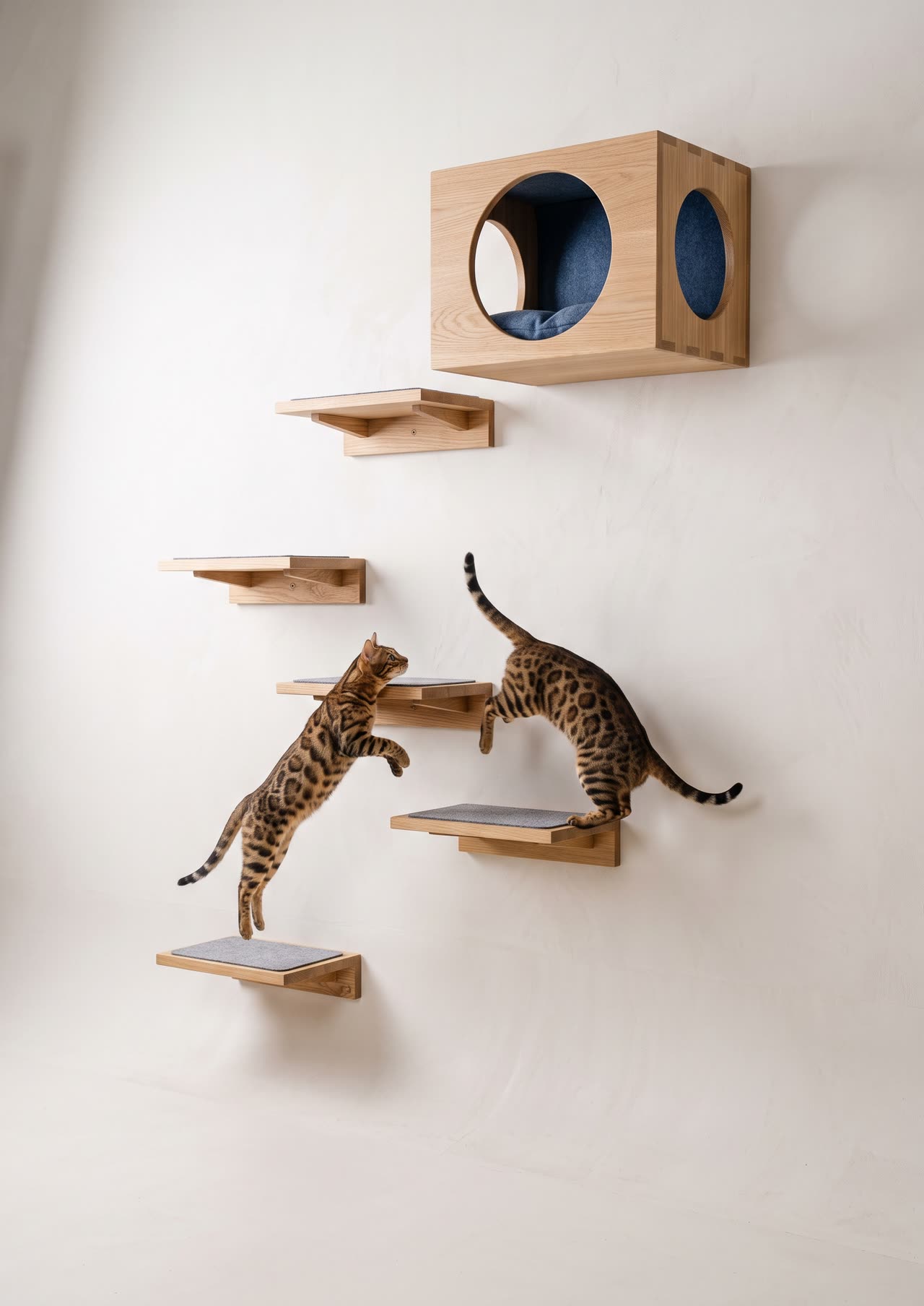 Cat wall, oak step shelves and a sleeping cube on the wall. Concept visual