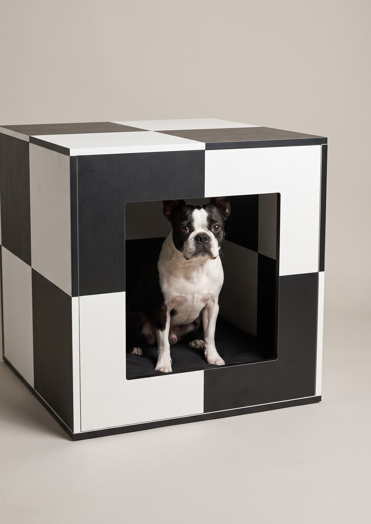 Checker, a black and white checkerboard cube den. Concept visual