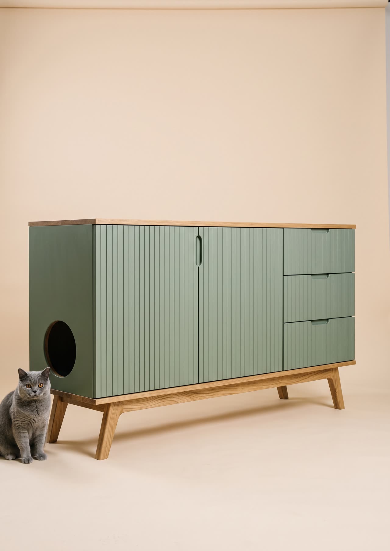 Litter sideboard, a green grooved sideboard with a litter compartment and a round cat door. Concept visual