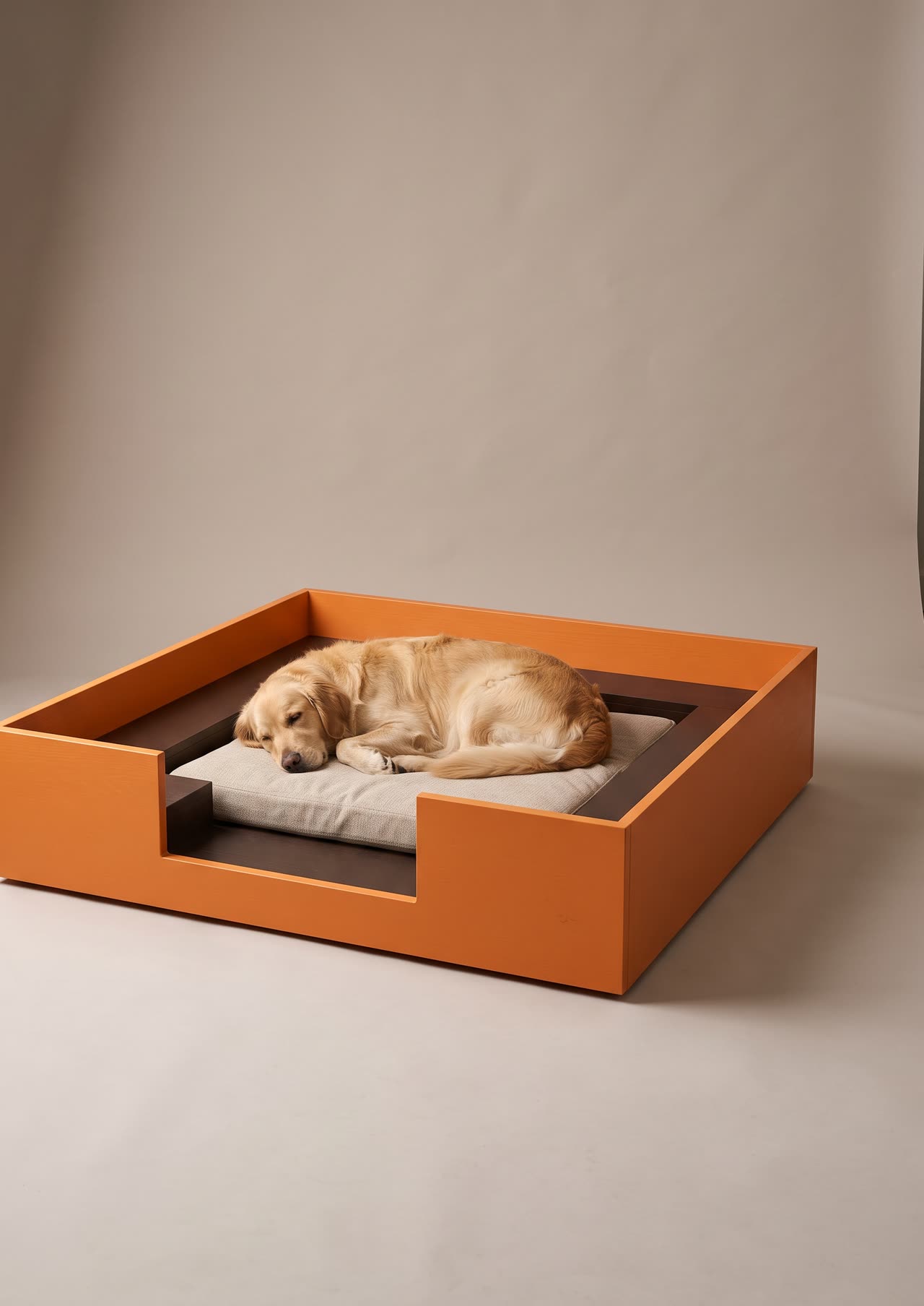 Pit, an orange square dog lounge with an inner step. Concept visual