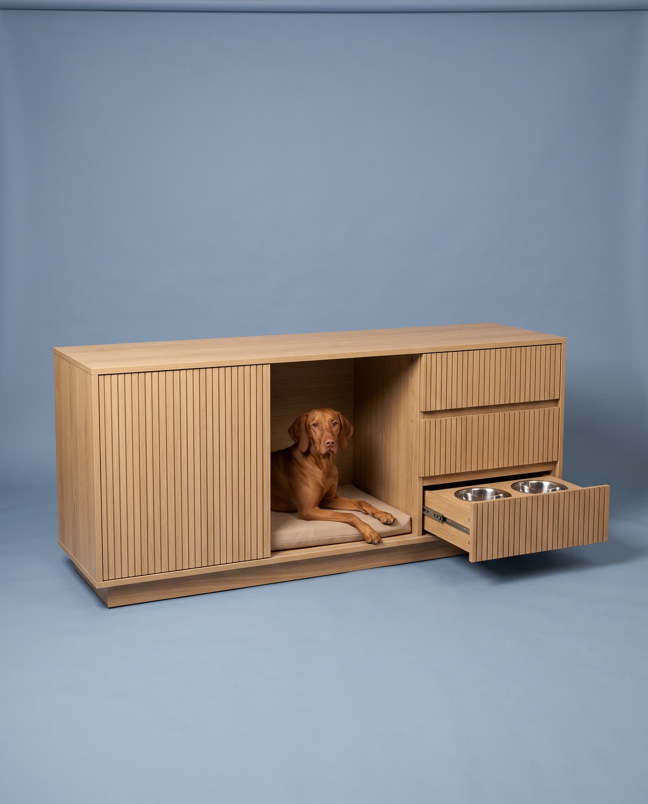 Credenza in the studio with a vizsla. Concept visual