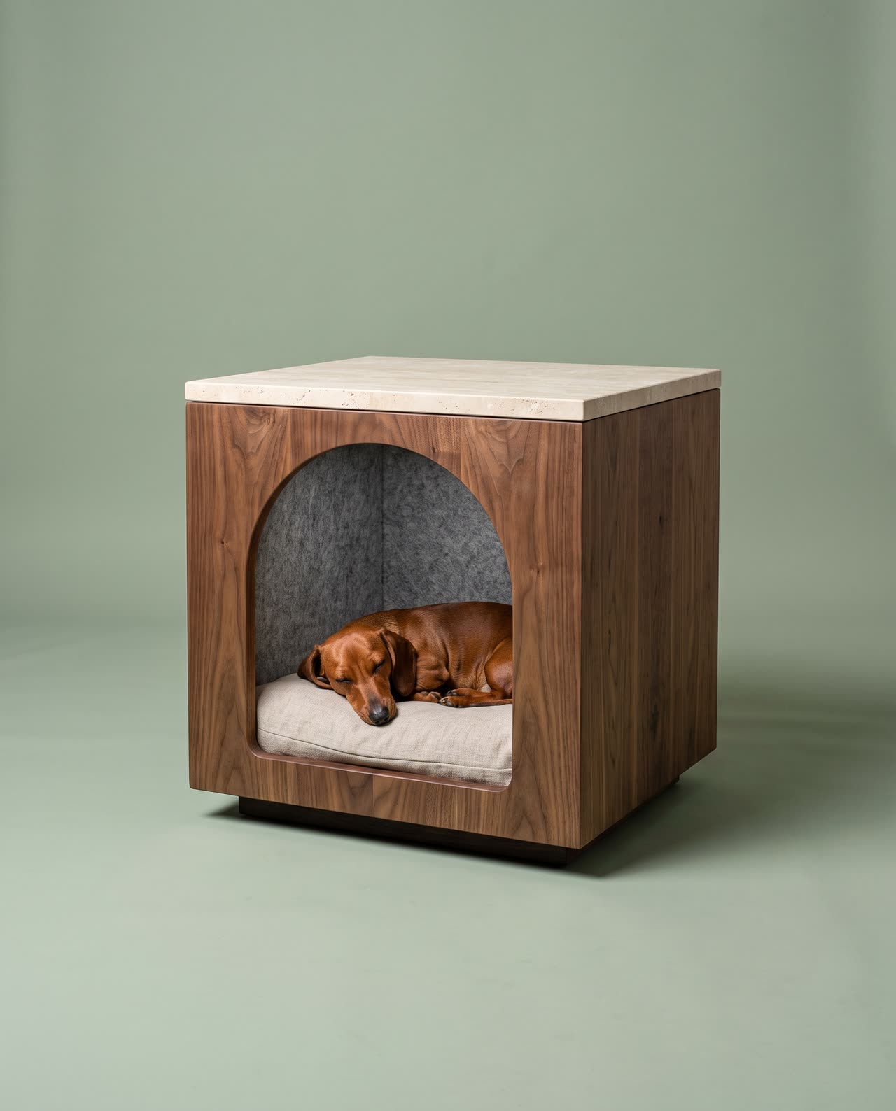 Monolith in the studio with a dachshund. Concept visual