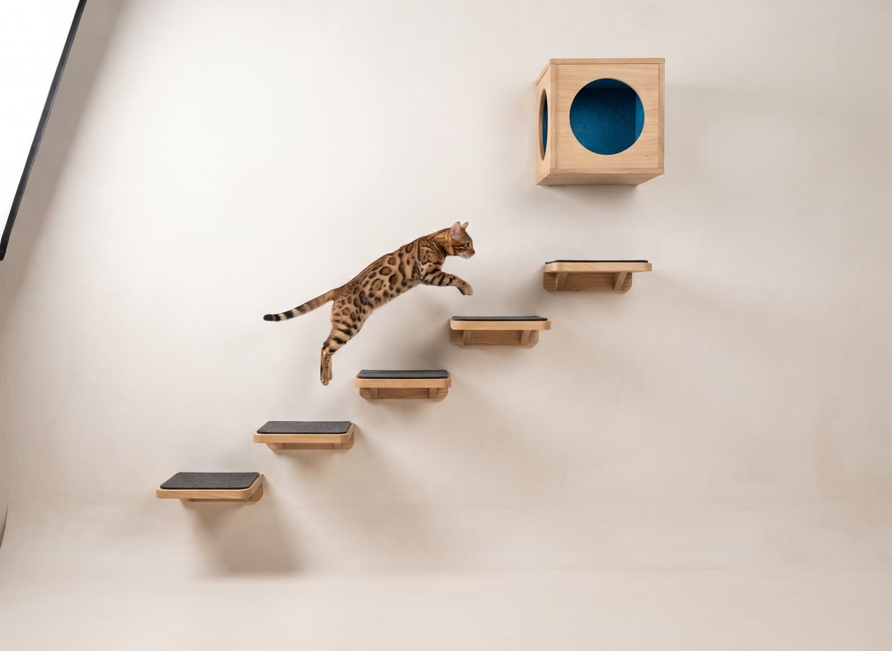 Katzen Kletterwand. Concept visual