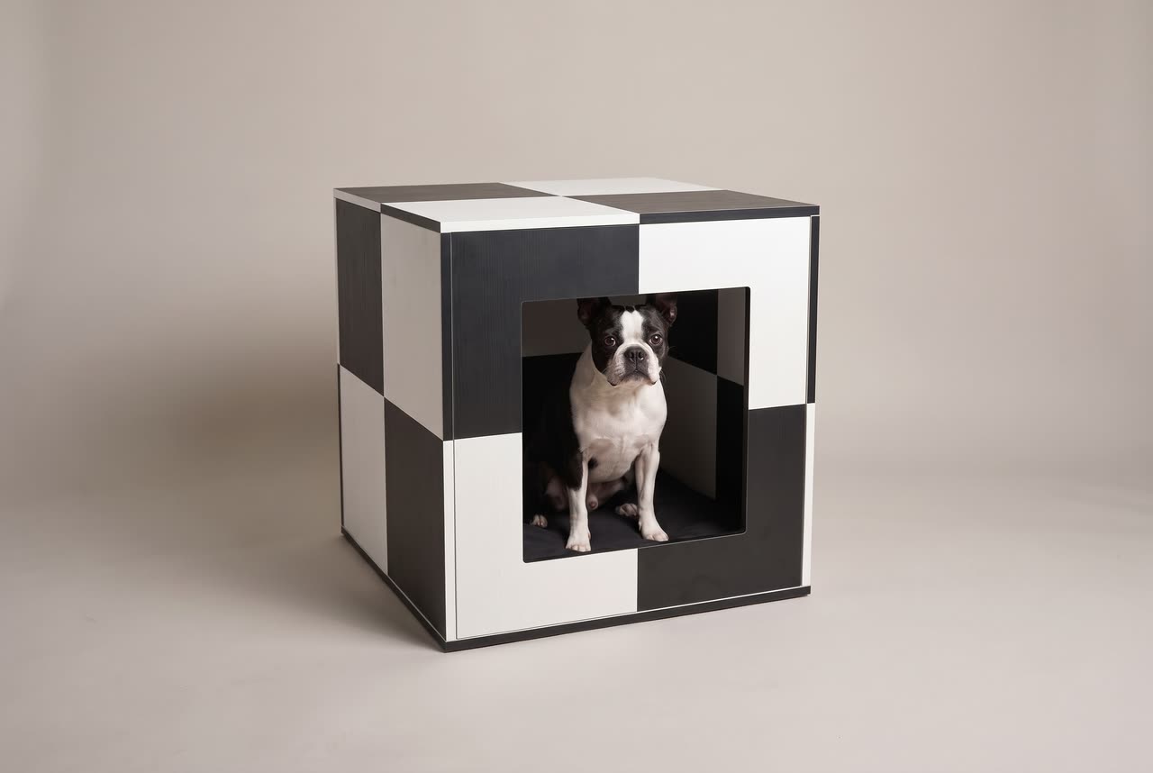 Checker. Concept visual