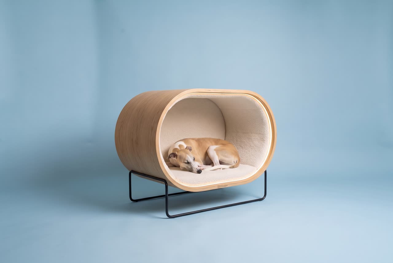 Halo, a round sleeping pod on a frame. Concept visual