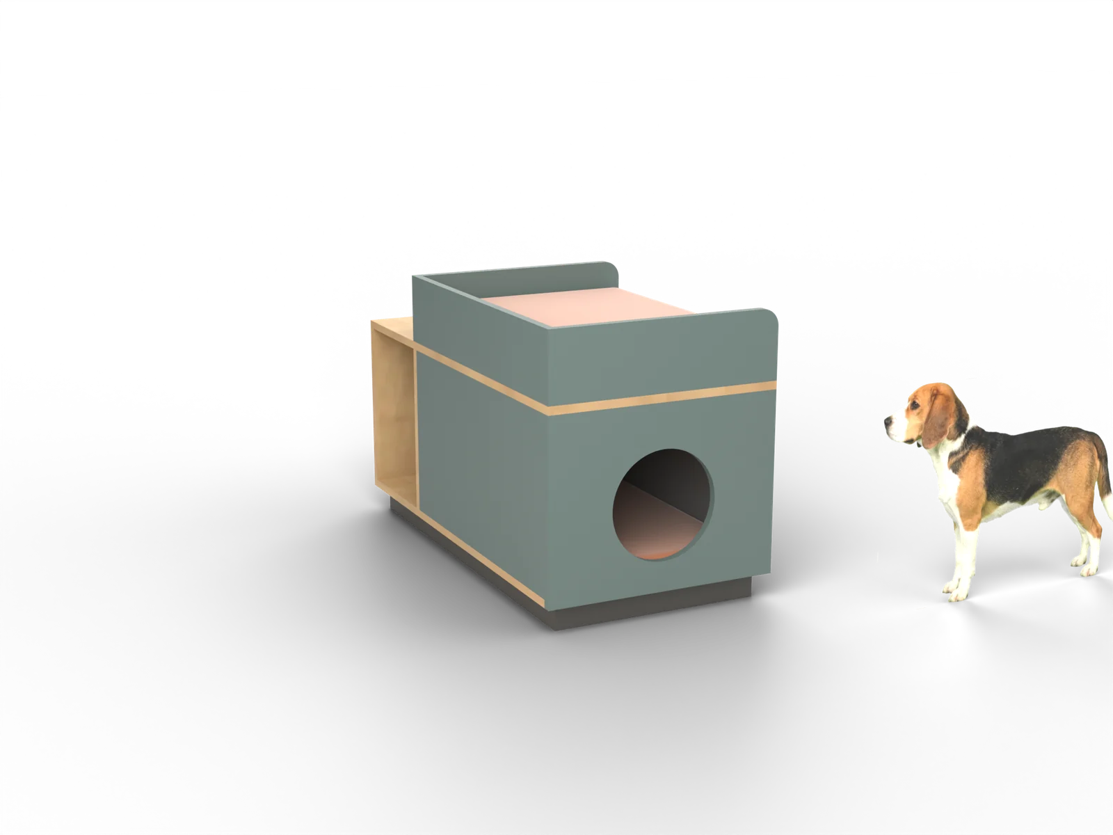 Cododo, rendu à partir de notre plan, avec un beagle