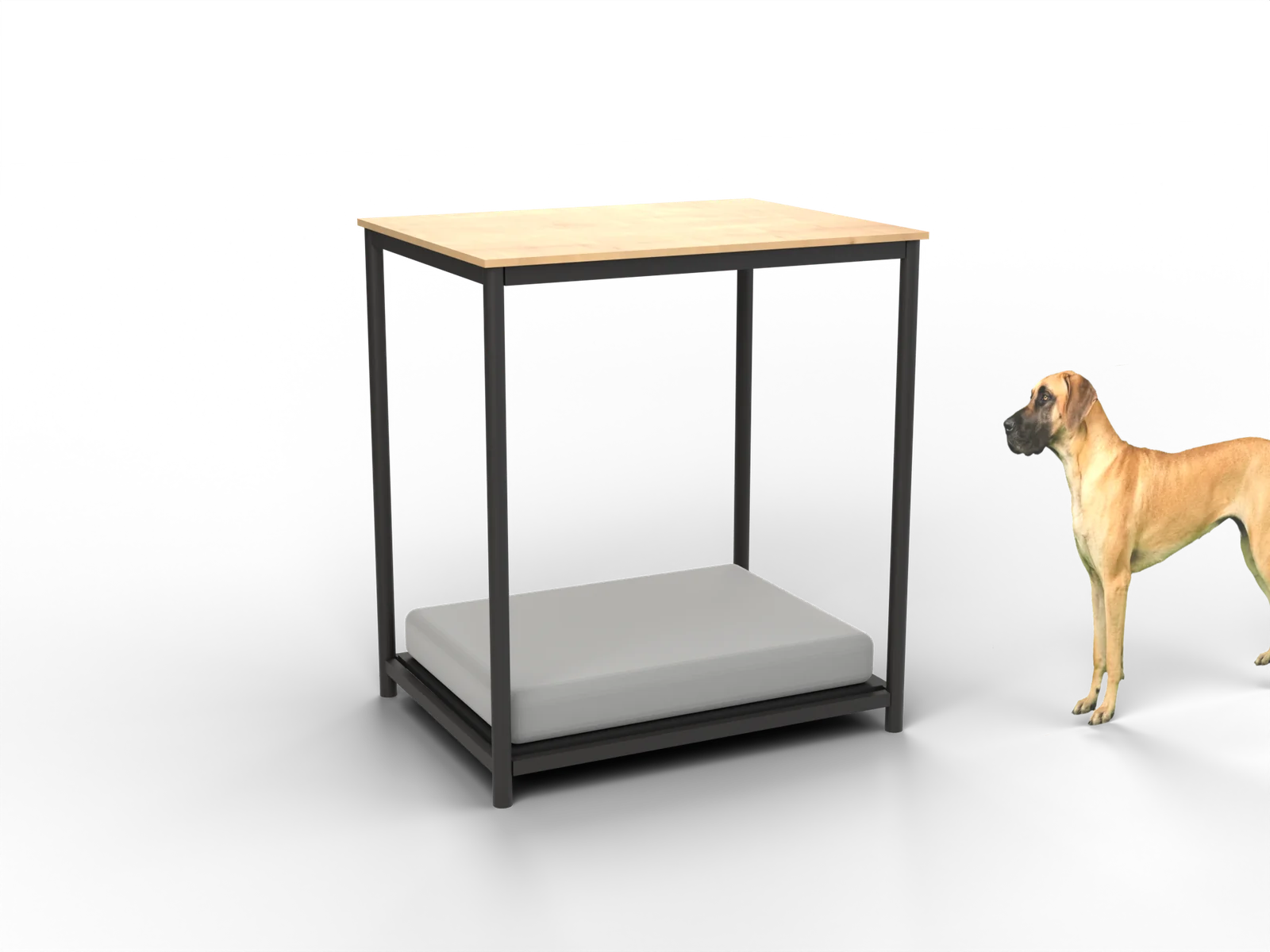 Pavilion avec étagère, rendu à partir de notre plan, avec un dogue allemand