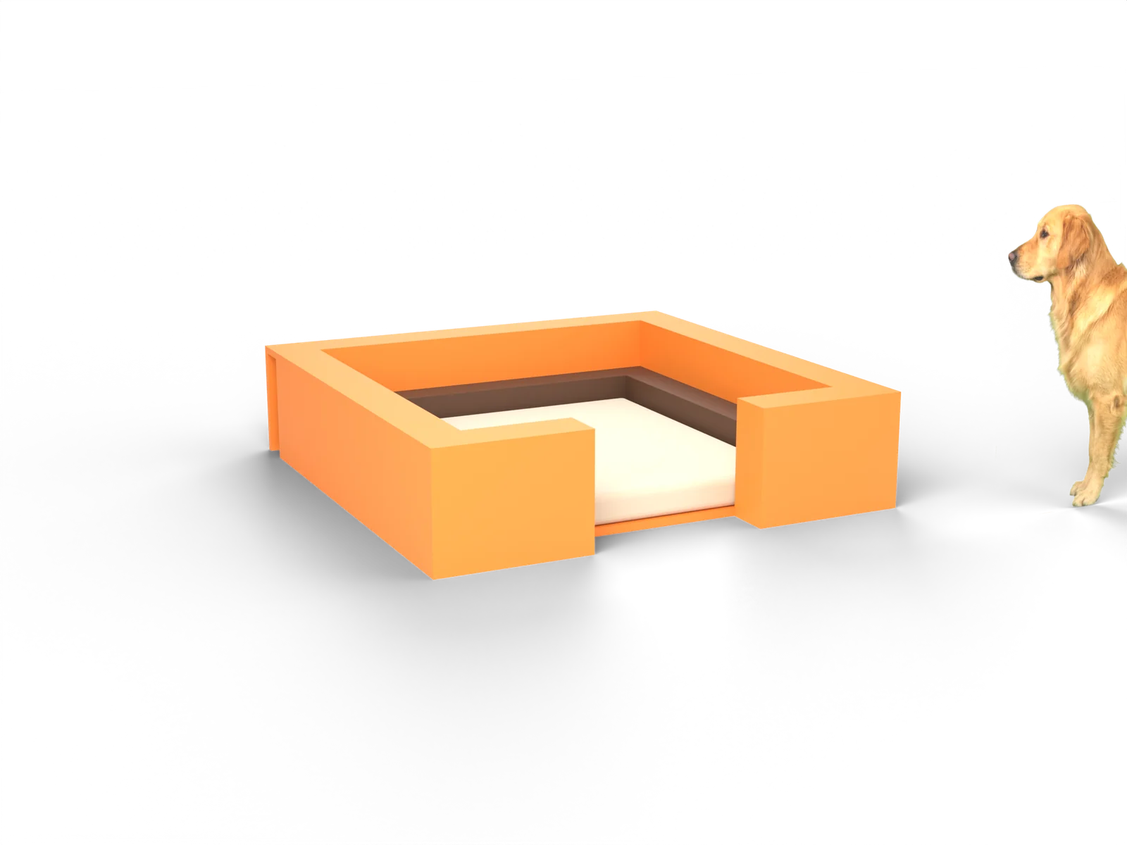 Pit, gerenderd uit onze tekening, met een golden retriever