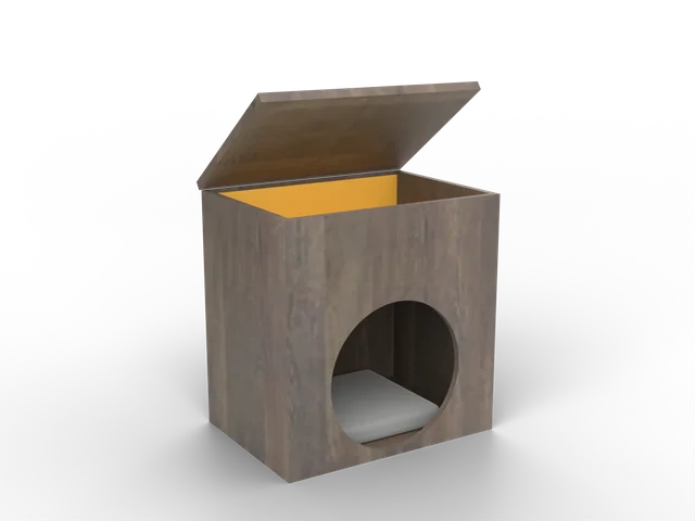 Reveal