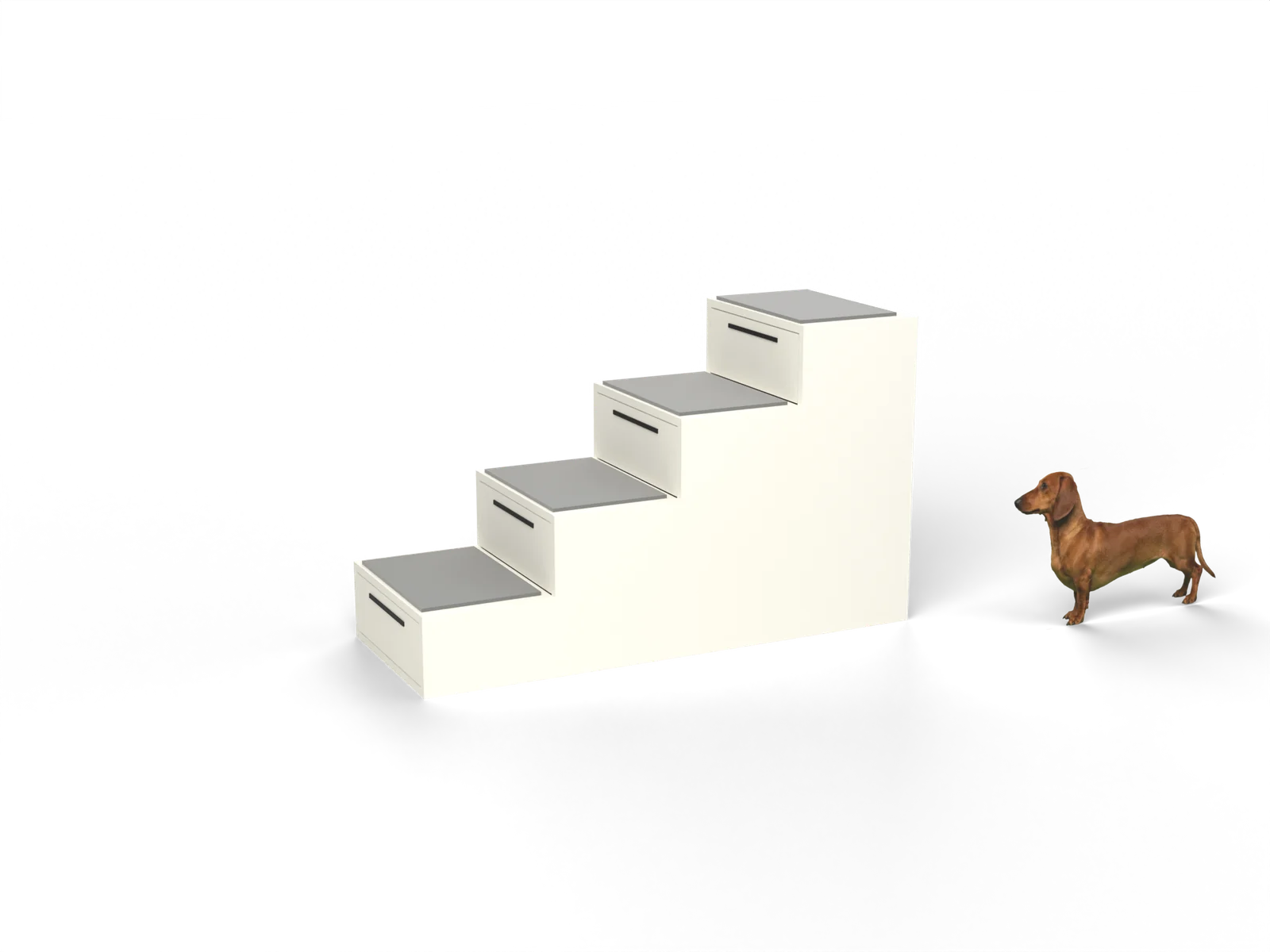 Hondentrap voor het bed, gerenderd uit onze tekening, met een teckel